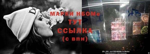 ECSTASY Богданович