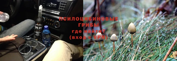 ALPHA-PVP Богородицк